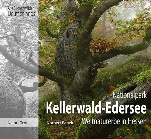 Natur & Text Nachhaltigkeit-Nationalpark Kellerwald-Edersee