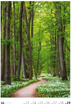 Natur Wochenkalender 2026*Ackermann Kunstverlag Online