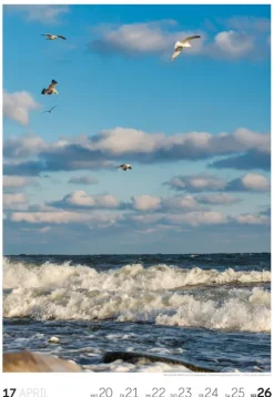 Natur Wochenkalender 2026*Ackermann Kunstverlag Online