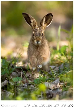 Natur Wochenkalender 2026*Ackermann Kunstverlag Online