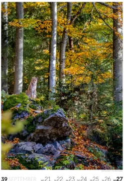 Natur Wochenkalender 2026*Ackermann Kunstverlag Online