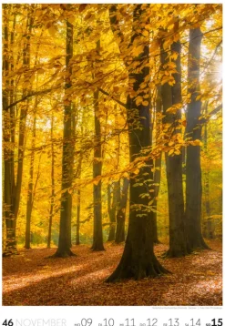 Natur Wochenkalender 2026*Ackermann Kunstverlag Online