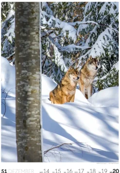 Natur Wochenkalender 2026*Ackermann Kunstverlag Online