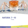 Klett Ernst /Schulbuch Nach Fächern·Biologie-Natura Biologie 7-10. Schulbuch Klasse 7-10. Ausgabe Rheinland-Pfalz