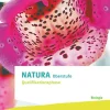 Natura Oberstufe Qualifikationsphase. Ausgabe Niedersachsen*Klett Ernst /Schulbuch Sale