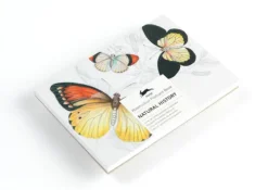 Pepin Press Postkarten*Natural History