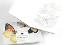 Pepin Press Postkarten*Natural History