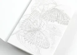 Pepin Press Postkarten*Natural History