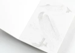 Pepin Press Postkarten*Natural History