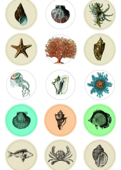 Pepin Press B.V. Klebstoff & Klebebänder*Natural History - Labels, Stickers & Tape