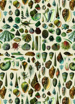 Pepin Press B.V. Klebstoff & Klebebänder*Natural History - Labels, Stickers & Tape