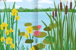 Ars Edition GmbH Stickerhefte-Naturforscher-Kids - Stickerheft Insekten