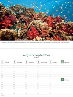 Kunth Kalender Wochenkalender*Naturparadiese - KUNTH Tischkalender 2026