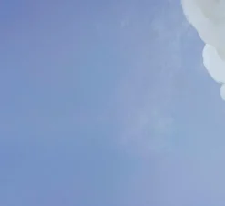 Knaur HC Gesellschaft|Sachbücher*NEMESIS' TÖCHTER