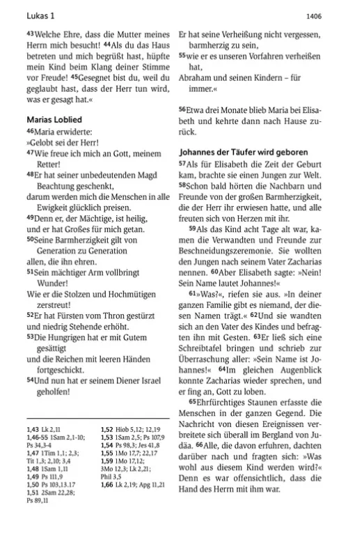 SCM Brockhaus, R. Religion & Philosophie|Theologie-Neues Leben. Die Bibel - Sonderausgabe
