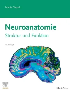 Neuroanatomie*Urban & Fischer/Elsevier New