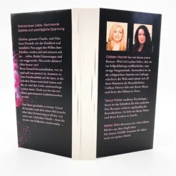 dtv Verlagsgesellschaft Liebesromane*Never Never