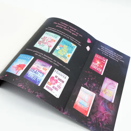 dtv Verlagsgesellschaft Liebesromane*Never Never