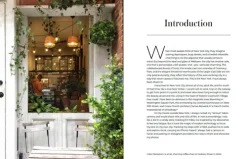 Midas Collection Reiseberichte*NEW YORK - Wie es keiner kennt