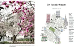 Midas Collection Reiseberichte*NEW YORK - Wie es keiner kennt