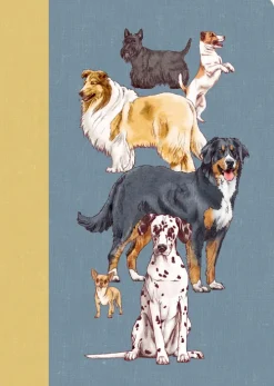 Coppenrath Notizbücher & -Blöcke*Notizhefte DIN A5