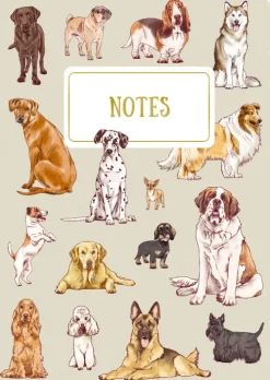 Coppenrath Notizbücher & -Blöcke*Notizhefte DIN A5