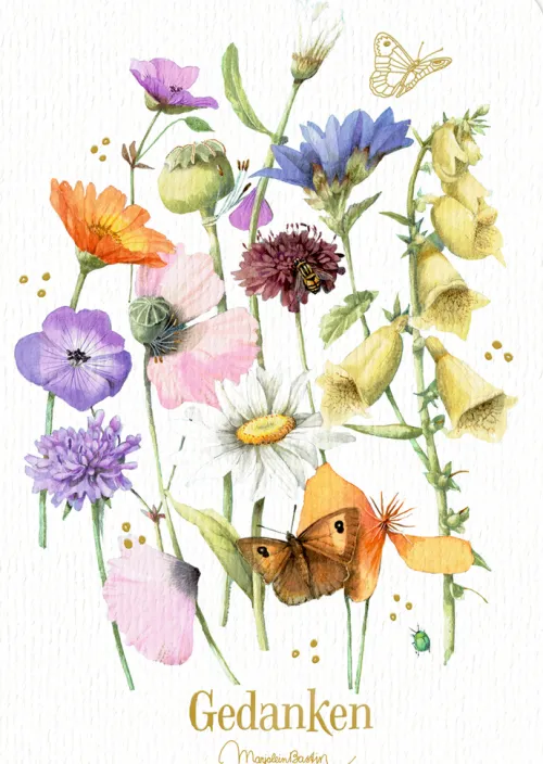 Notizhefte DIN A5*Coppenrath Clearance