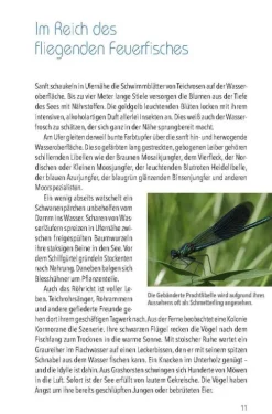 Buch + Kunstvlg.Oberpfalz Wandern & Radfahren*Nördlicher Oberpfälzer Wald