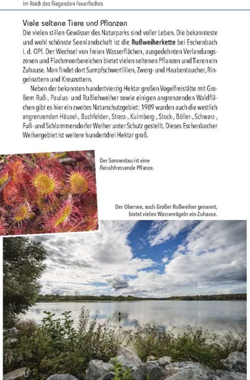 Buch + Kunstvlg.Oberpfalz Wandern & Radfahren*Nördlicher Oberpfälzer Wald