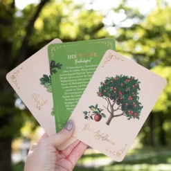 Groh Verlag Weisheiten-Orakelkarten: Die verborgene Kraft der Bäume