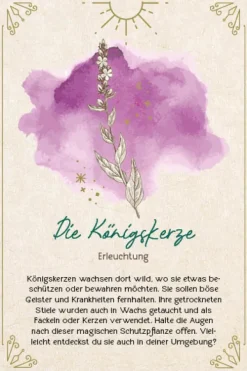 Edition Michael Fischer Füller & Tinte-Orakel-Karten-Box: Naturmomente für deine Seele: Nutze die Kraft der grünen Magie