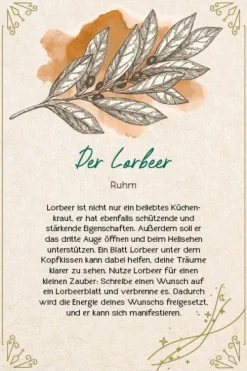 Edition Michael Fischer Füller & Tinte-Orakel-Karten-Box: Naturmomente für deine Seele: Nutze die Kraft der grünen Magie