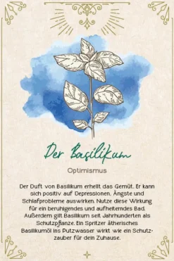 Edition Michael Fischer Füller & Tinte-Orakel-Karten-Box: Naturmomente für deine Seele: Nutze die Kraft der grünen Magie