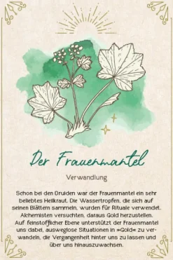 Edition Michael Fischer Füller & Tinte-Orakel-Karten-Box: Naturmomente für deine Seele: Nutze die Kraft der grünen Magie