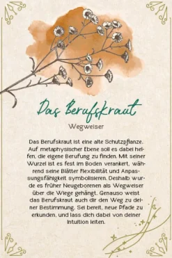 Edition Michael Fischer Füller & Tinte-Orakel-Karten-Box: Naturmomente für deine Seele: Nutze die Kraft der grünen Magie