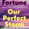 Penguin Books Ltd (UK) Fremdsprachige Bücher|Romance-Our Perfect Storm