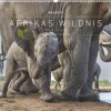 teNeues Calendars & Stationery GmbH & Co. KG Posterkalender*Palazzi - Hautnah - Afrikas Wildnis 2026 - Wandkalender 60×50 cm mit 12 Tierfotografien, Poster-Kalender mit Wildtieren & humorvollen Bildunterschriften