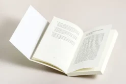 Ariston Verlag Gesellschaft-Panikattacken und andere Angststörungen loswerden