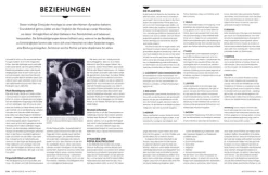 Dorling Kindersley Verlag Spiritualität*Parkers Astrologie