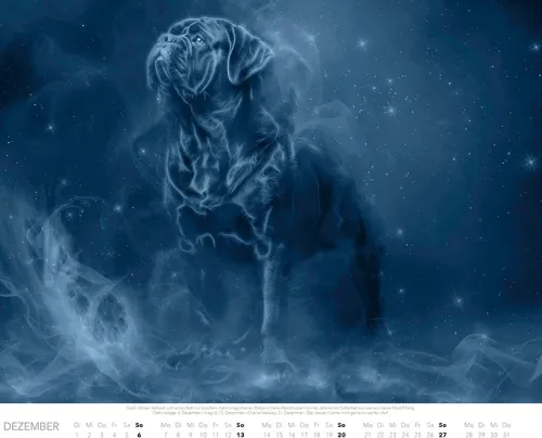 Patronus Kalender für Potterheads 2026 XXL-Wandkalender*Heel Verlag GmbH Hot