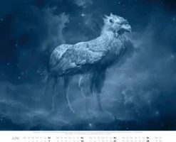 Patronus Kalender für Potterheads 2026 XXL-Wandkalender*Heel Verlag GmbH Hot