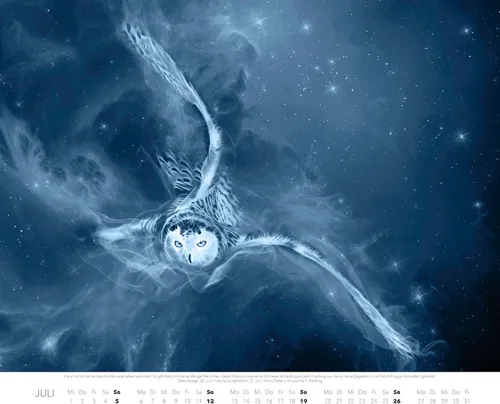 Patronus Kalender für Potterheads 2026 XXL-Wandkalender*Heel Verlag GmbH Hot
