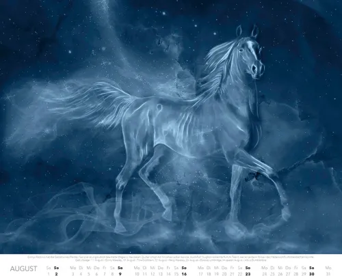 Patronus Kalender für Potterheads 2026 XXL-Wandkalender*Heel Verlag GmbH Hot