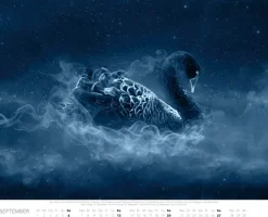 Patronus Kalender für Potterheads 2026 XXL-Wandkalender*Heel Verlag GmbH Hot