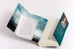 Penguin TB Verlag Psychothriller*Perfect Crime - Wenn niemand dir glaubt