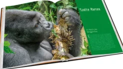 Tipp 4 Bildbände-Perle Afrikas