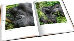 Tipp 4 Bildbände-Perle Afrikas