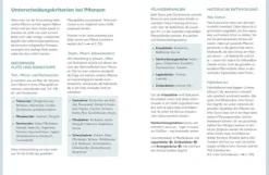 Permakultur auf dem Balkon*YUNA Discount