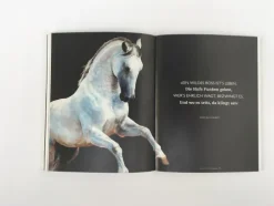 Pferde in der Kunst*DuMont Buchverlag GmbH