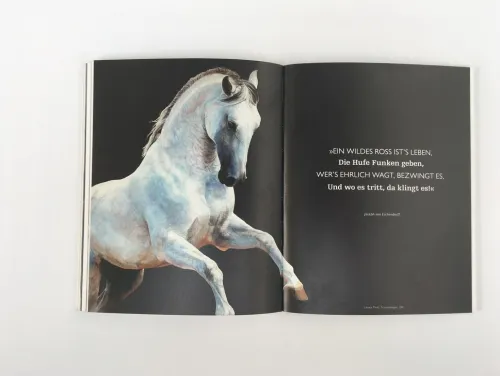 Pferde in der Kunst*DuMont Buchverlag GmbH